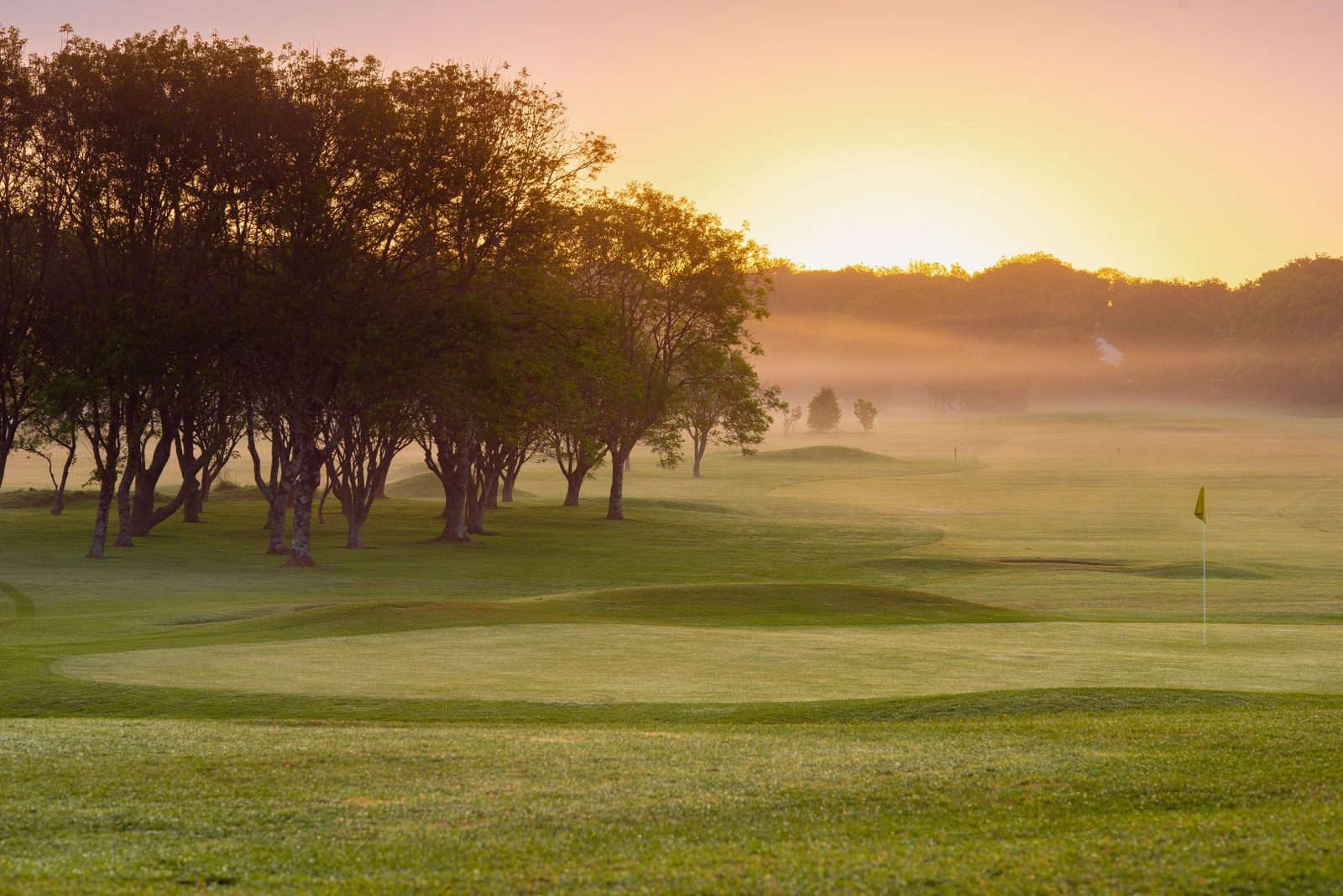 Dawn mist lying across a fairway, a line of wind-shaped trees on the left, a yellow flag on the right and the sun coming up behind a wooded ridge