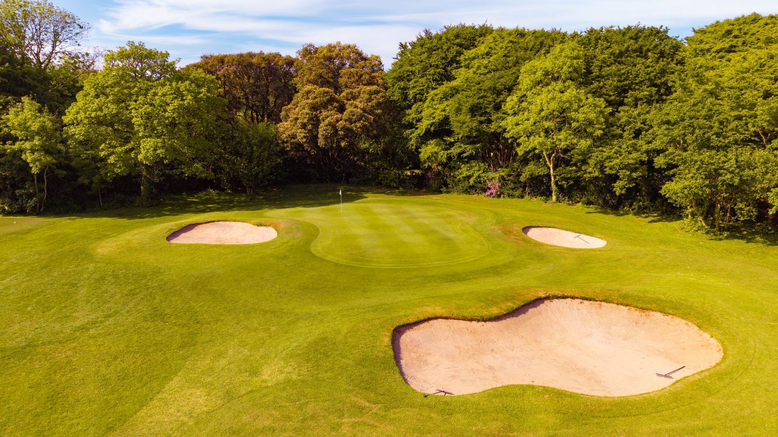 A green ringed by three freshly raked bunkers, backed by a solid wall of mature broadleaf woodland
